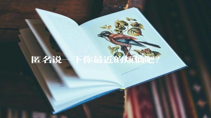 匿名说一下你最近的烦恼吧？