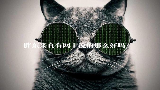 胖东来真有网上说的那么好吗？
