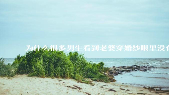 为什么很多男生看到老婆穿婚纱眼里没有光?